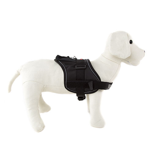 Imagen de Flamingo Arnés acolchado Negro para perros