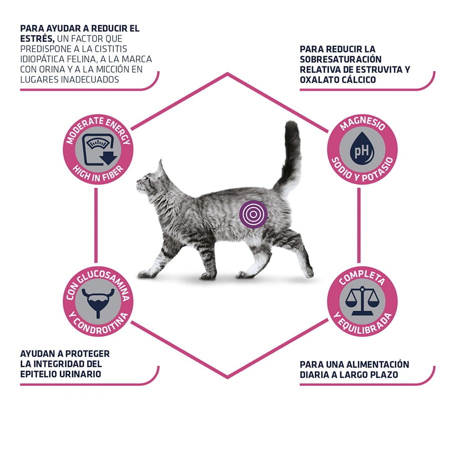 1,25kg Pienso para Gatos con Problemas Urinarios ADVANCE Veterinary Diets Urinary Stress 