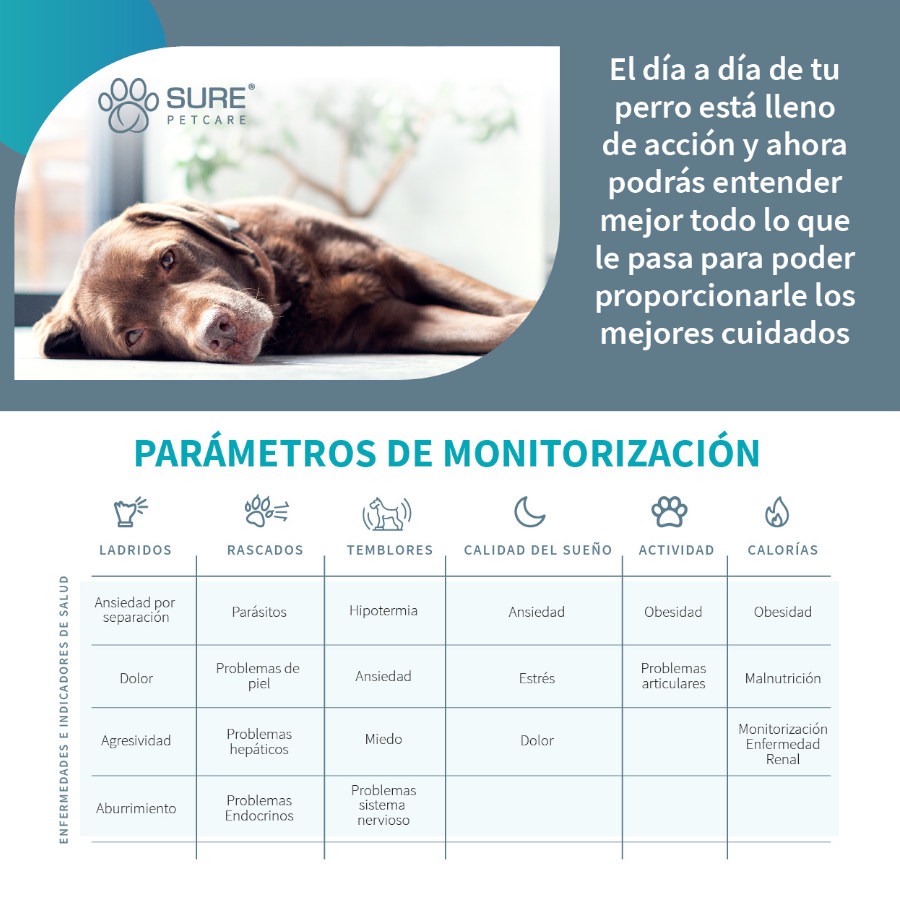 Animo Sure Petcare Sure Petcare Animo Behavior And Activity Monitor