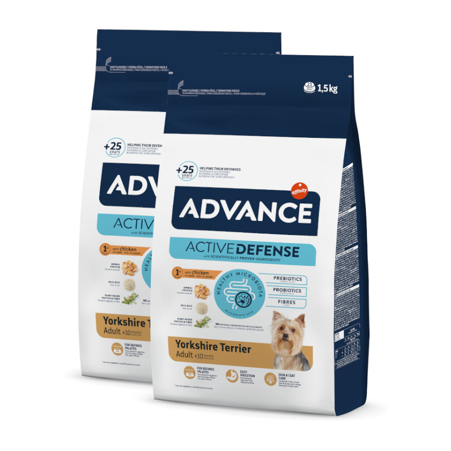 Advance Active Defense Yorkshire Terrier Adult pienso para perros ¡Pack ahorro!