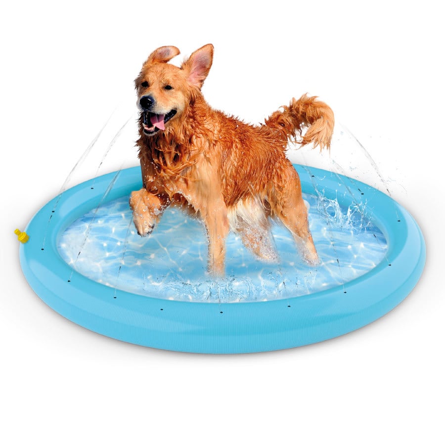 Summer Vibes Piscina con chorros para perros