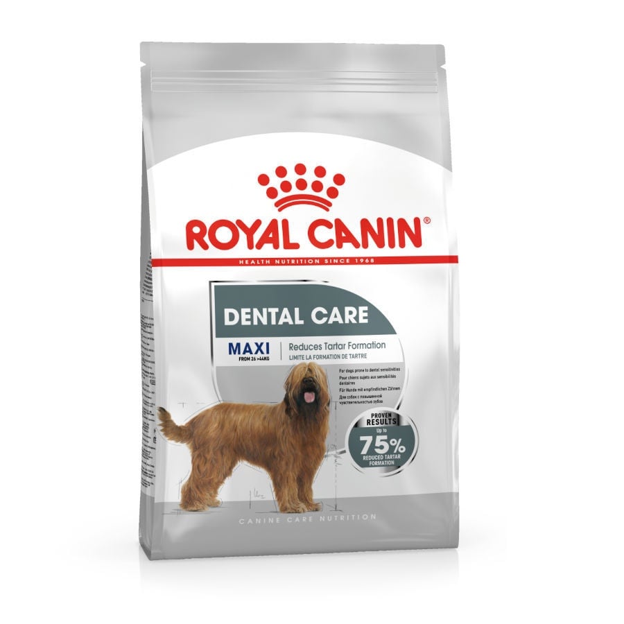 Royal Canin Dental Care Maxi pienso para perros