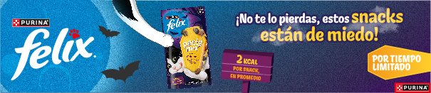 Banner promocional