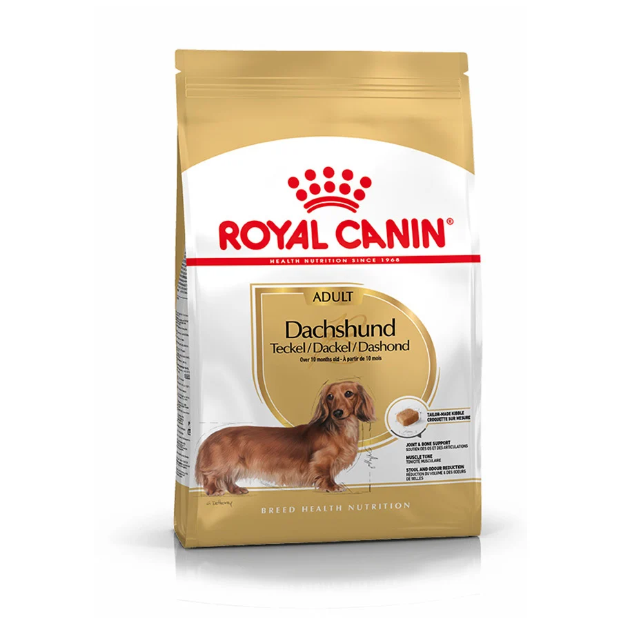 Royal Canin Adult Dachshund pienso para perros