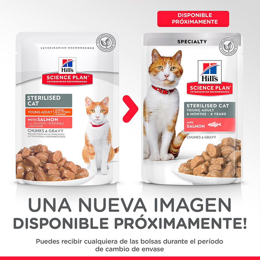 Hill's Young Adult Science Plan Sterilized Salmón sobre para gatos, , large image number null
