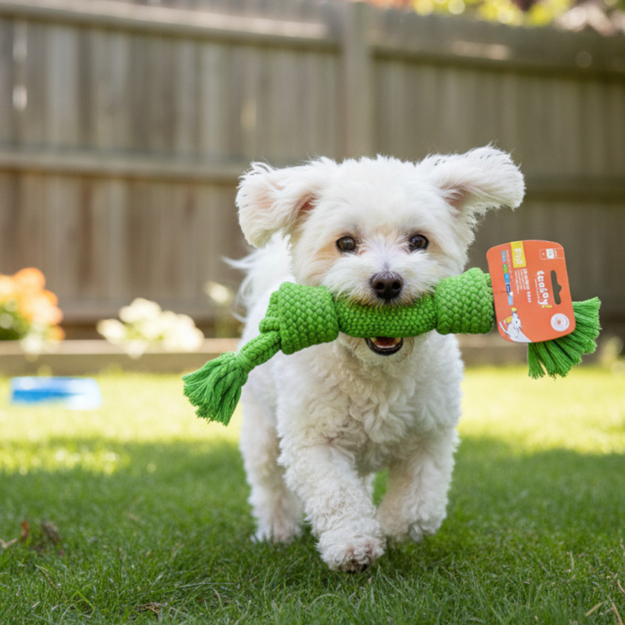 Tootoy! Hueso Mordedor de Cuerda Verde para perros