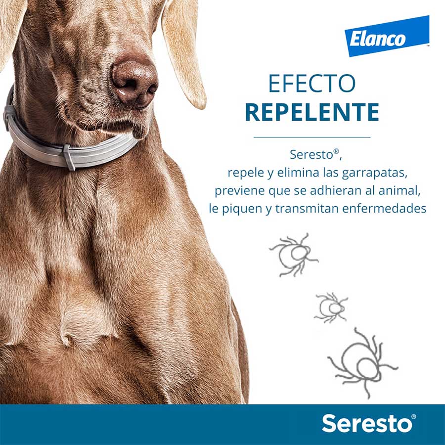 collar antiparasitario perros kiwoko