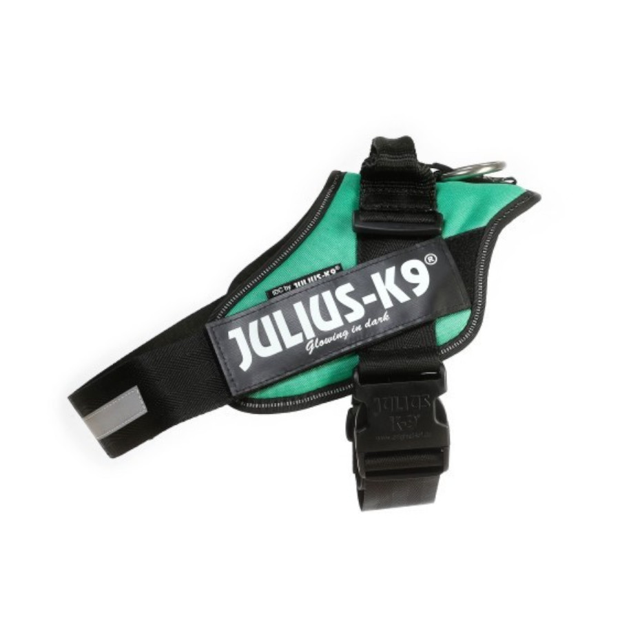 Imagen de Julius K9 IDC Arnés Verde para perros