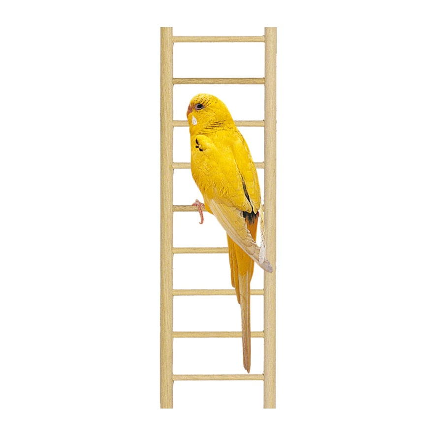 Ferplast PA 4006 escalera para pájaros