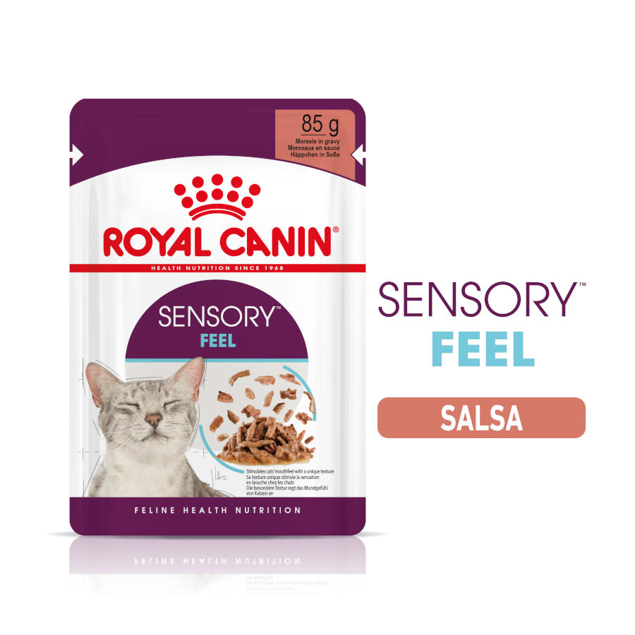 Royal Canin – Comida húmeda para gatos adultos Royal Canin Sensory Feel 85 g.