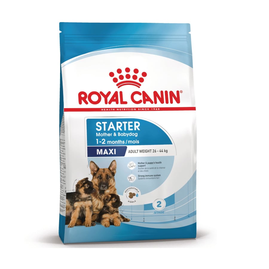 Royal Canin Starter MotheryBaby Maxi pienso para perros