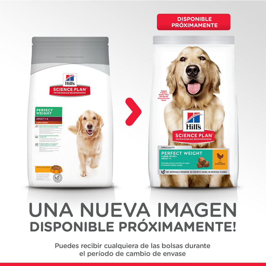 Hill's Large Adult Science Plan Perfect Weight Pollo pienso para perros, , large image number null