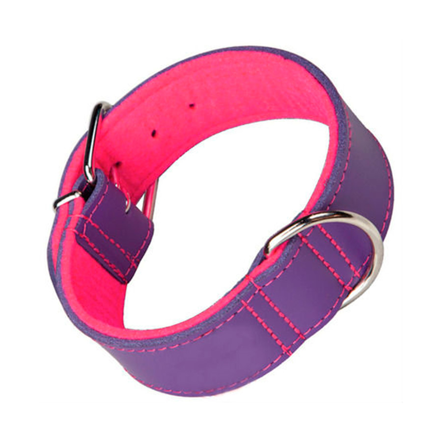 collar adiestramiento perros kiwoko