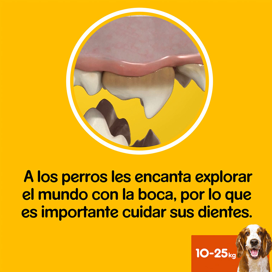 Pedigree Snacks DentaStix para perros de razas medianas - Pack 2, , large image number null