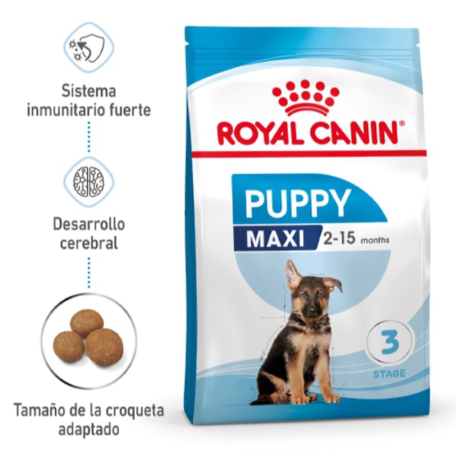sextante expedición Traducción Royal Canin Puppy Maxi pienso para perros | Kiwoko