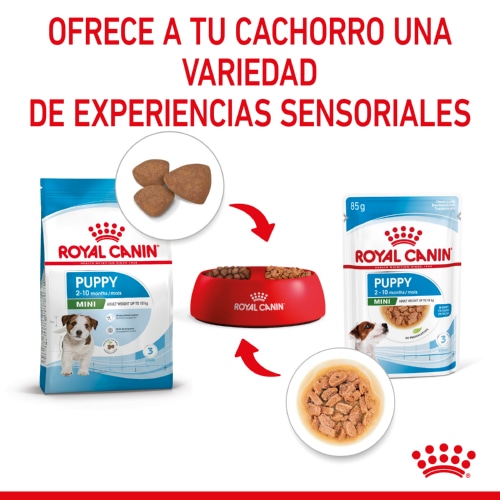 Royal Canin Mini Puppy sobre en salsa , , large image number null