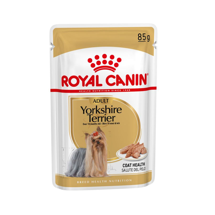 Royal Canin – Comida húmeda para perros adultos Royal Canin Yorkshire Terrier paté.