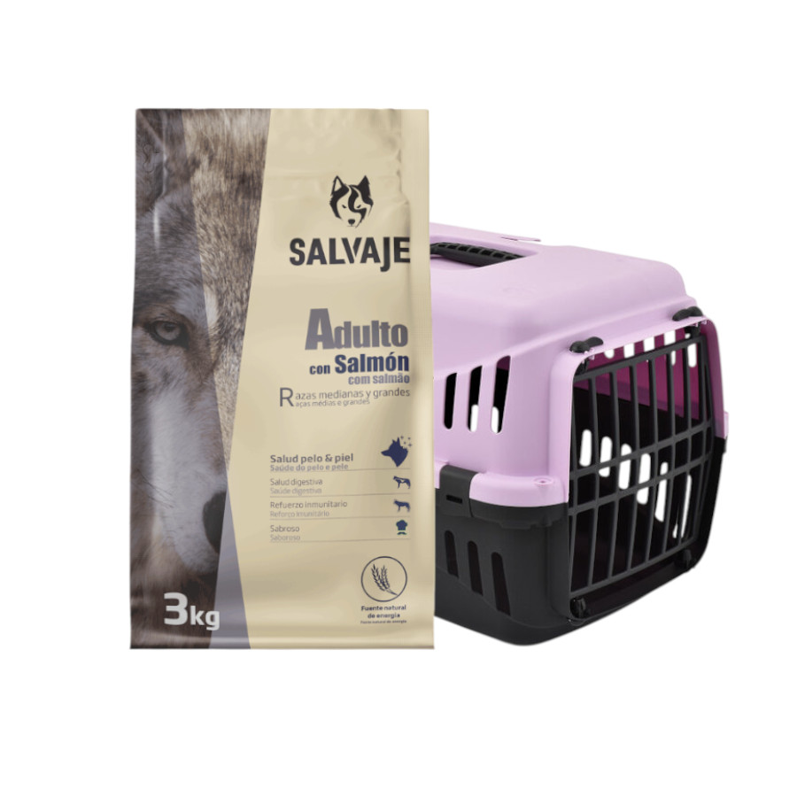 Transportín Morado TK-Pet + 3 kg Pienso Salvaje Adult Salmón para perros ¡Pack Ahorro!