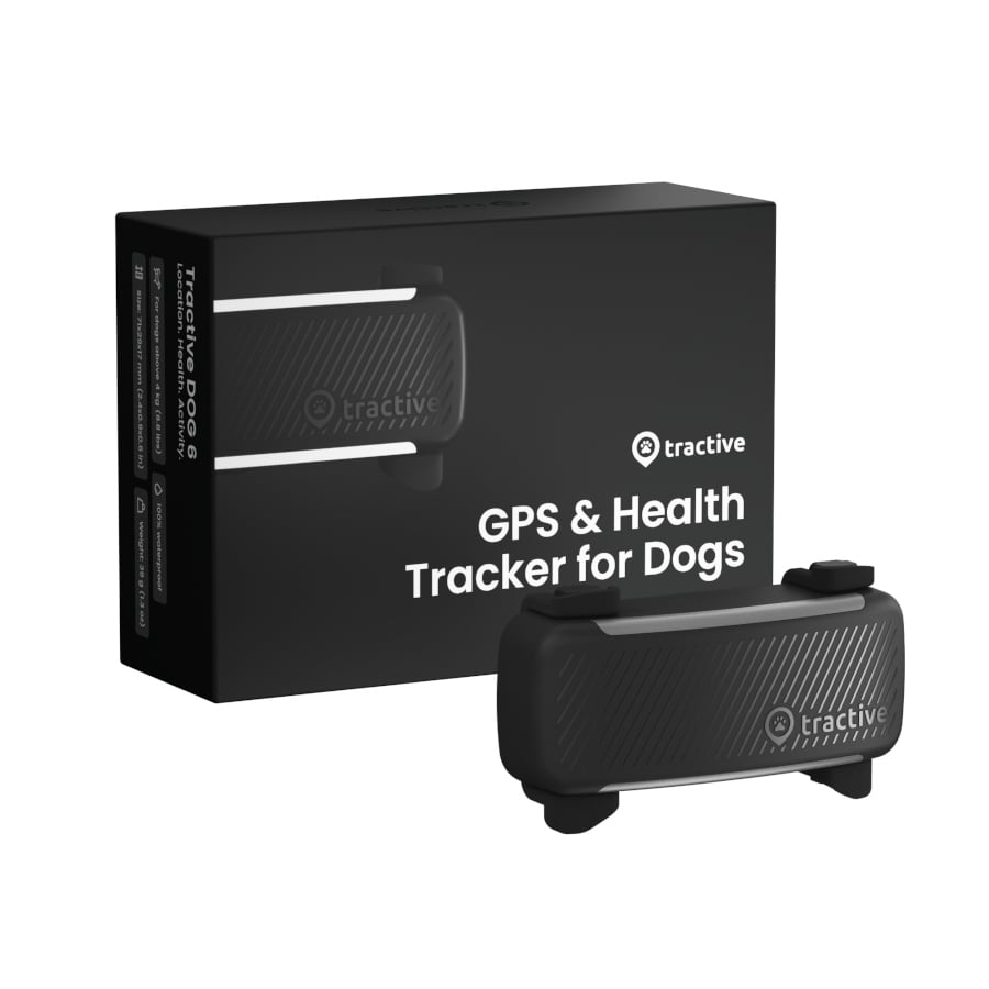 Tractive – Gps para perros dog 6 Tractive.