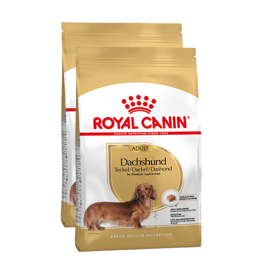 Royal Canin Adult Dachshund pienso para perros ¡Pack ahorro!