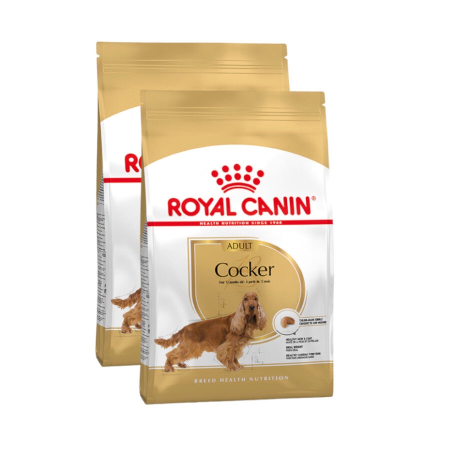 Royal Canin Adult Cocker pienso para perros ¡Pack ahorro!