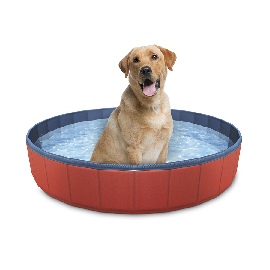 educar fantasma Llamarada Summer Vibes Piscina para perros | Kiwoko