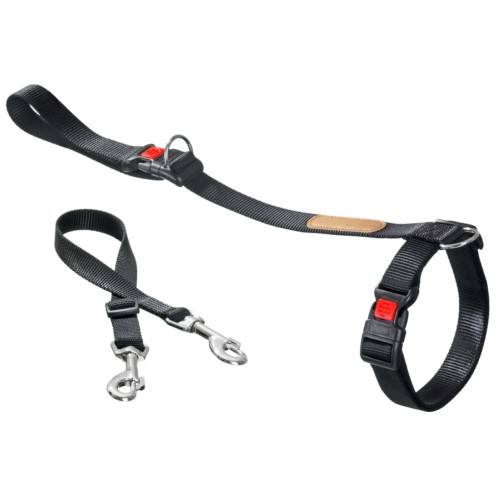 Nuevo Correas De Adiestramiento Para Perros | Compra Online a Precios Super  Baratos