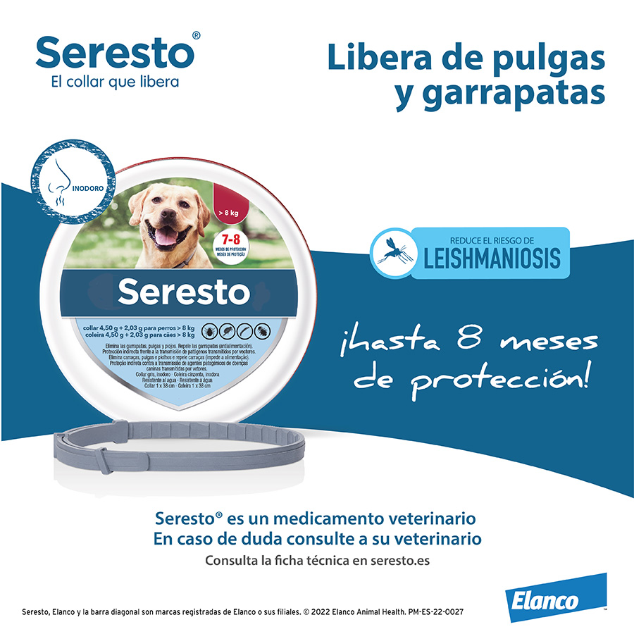Bayer Seresto Collar Antiparasitario para perros Kiwoko