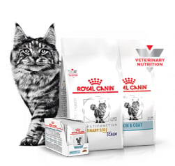 Descubre nuestros productos veterinarios para GATOS