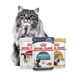 Consigue una nutrición completa y equilibrada incluyendo alimento húmedo en la dieta de tu gato