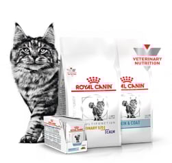 Descubre nuestros productos veterinarios para GATOS