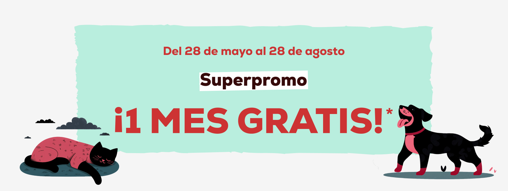 slide-promo